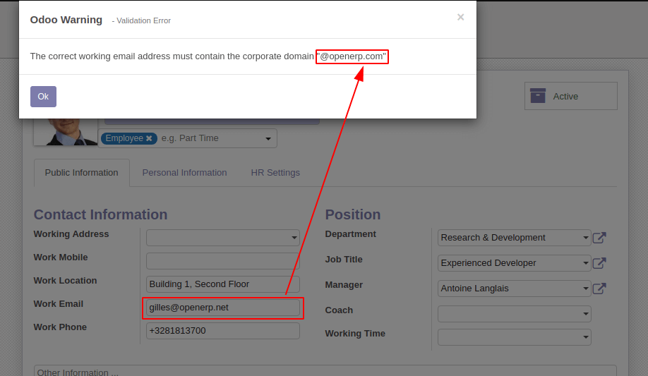 Email Sanitizer Example 1 - Domain Validation Email Sanitizer Example 1 - Domain Validation
