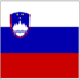 Slovenian Accounting and Taxes