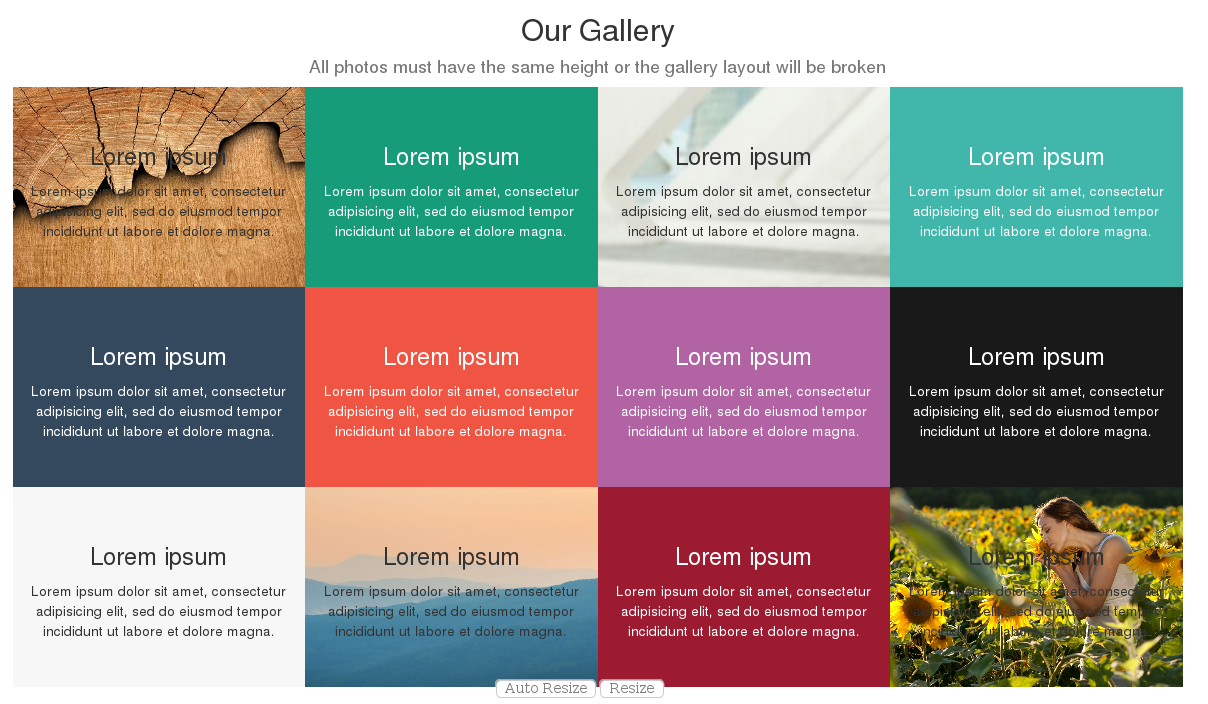 Marginless Gallery Snippet